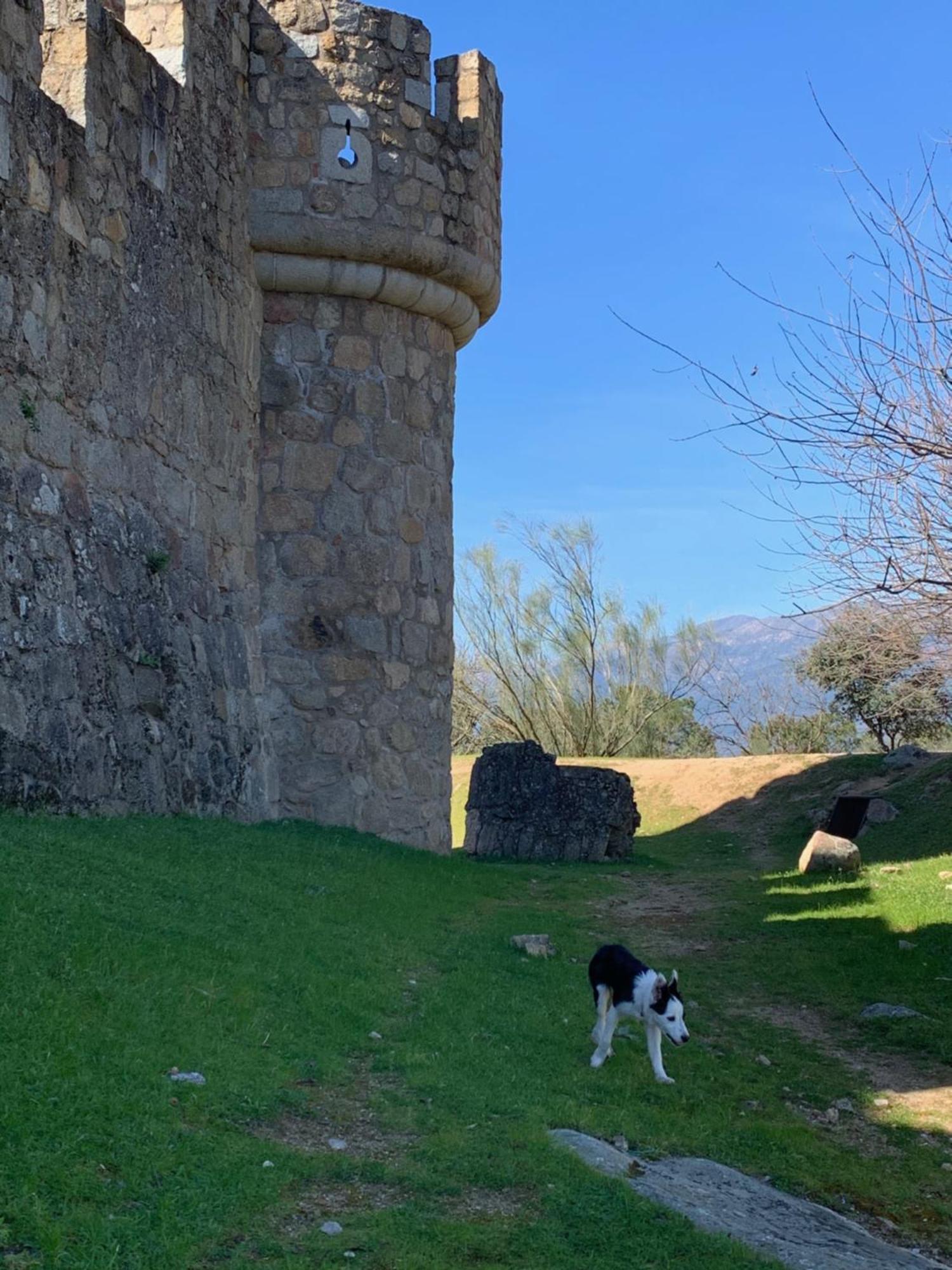 Villa El Refugio De Felix Sotillo de la Adrada Exterior foto